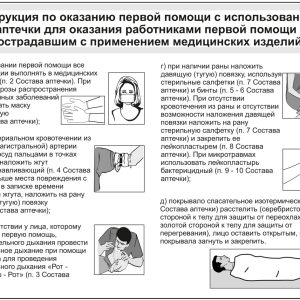 Аптечка ФЭСТ первой помощи работникам футляр из полистирола 266х220х80 (3764)